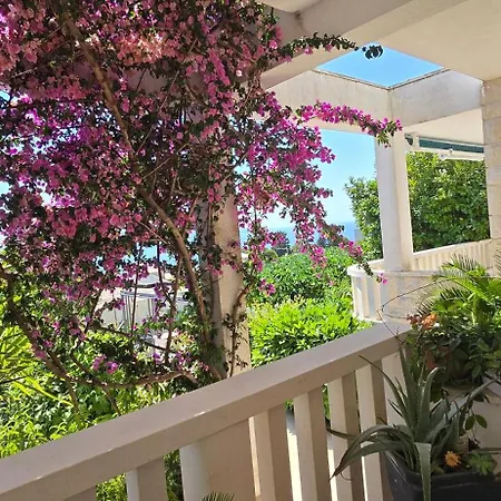 Villa Noa *
