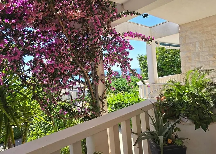 Villa Noa *